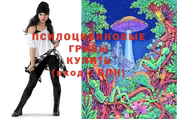 прущий лед Краснослободск