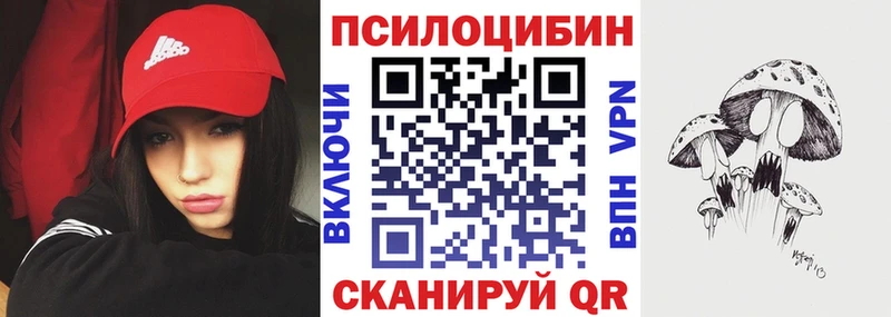 Купить закладки  Кондопога  Галлюциногенные грибы Psilocybine cubensis 
