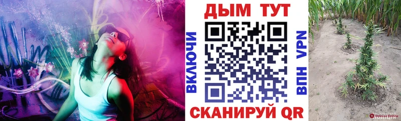 Купить закладки  Кондопога  Шишки марихуана тримм 